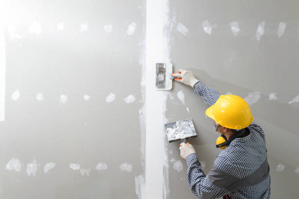 Best Drywall Texturing  in Hoyt Lakes, MN